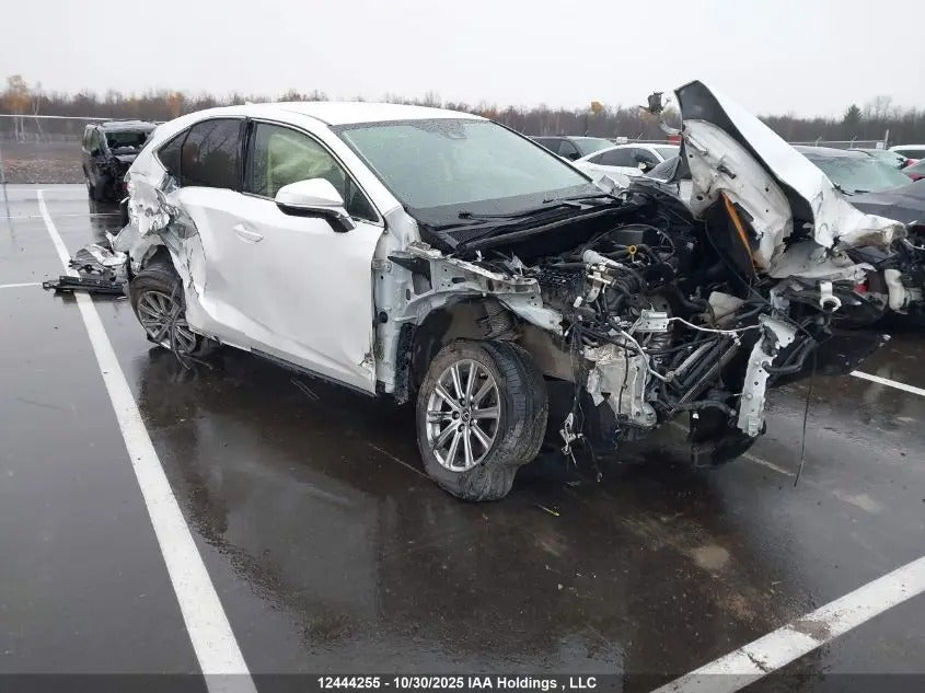 JTJAARDZ1M5027728 - 2021 Lexus Nx – Check VIN