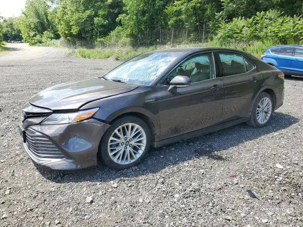4T1G31AK1NU596095 - 2022 Toyota camry XLE hybrid